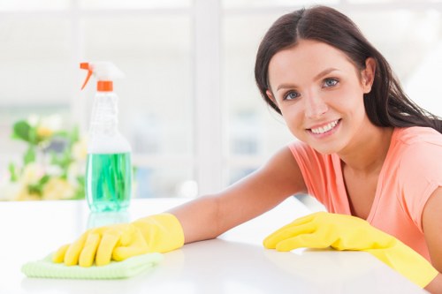 Professional sofa cleaning service for homes in Brent