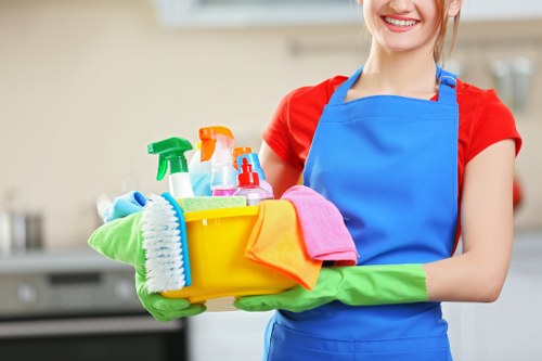 Professional upholstery cleaning for sofas in Brent homes