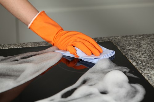 Local pet stain and odour removal treatment for a carpet in Brent