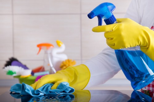 Professional oven cleaning service for homes in Brent