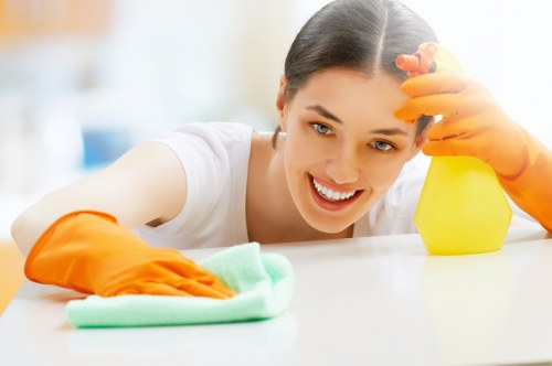 Thorough oven door and glass cleaning in Brent