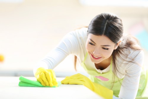 Professional cleaning of pet urine marks in a Brent home