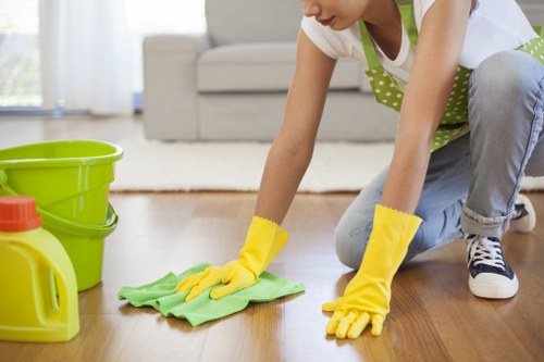 Cleaner Brent delivering a safe and professional cleaning service