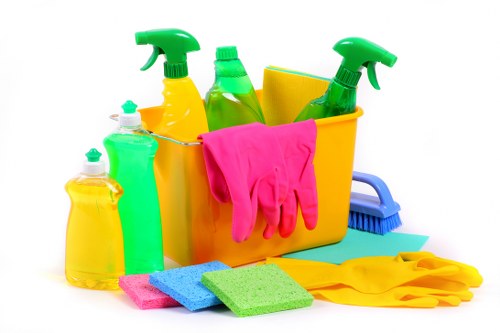 Deep cleaning process for a Brent kitchen and living space